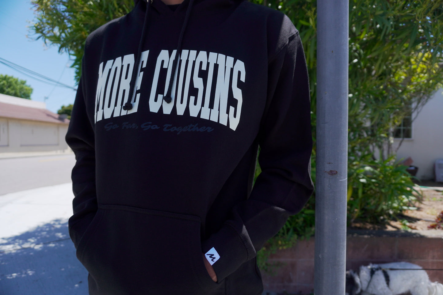 More Cousins Arch Hoodie (Black/Ivory)